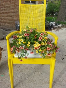 My yellow garden chair