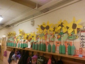 Our sunflower garden in the hallway. Then I found a book called Sunflower House. I love that ok. We would read it, take our sunflowers to the gym and make a sunflower house and sit in the middle.