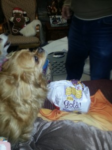 Coffee the day after chemo, with chicken nuggets...and yes she got part of my cheeseburger too! 