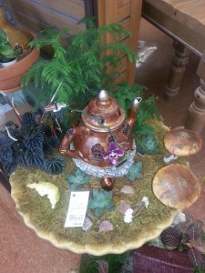 Steins gardens Tiny Fairy Garden