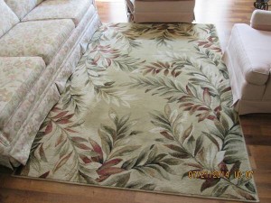 $40 with matching small carpet and pad