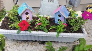 My fairy garden from Moo belle