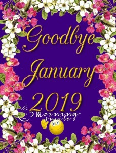 347574-Goodbye-January-2019